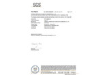 防静电橡胶垫SGS-阻燃检测报告-英文版