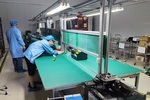 防静电台垫用于农产品实验室